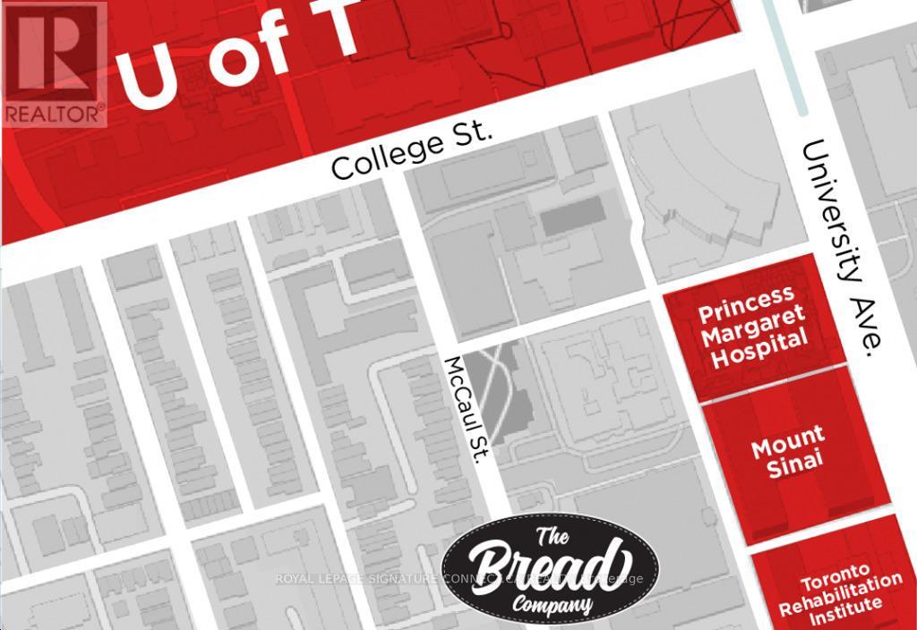 322 - 195 Mccaul Street, Toronto (Kensington-Chinatown), Ontario  M5T 1W6 - Photo 11 - C12633792