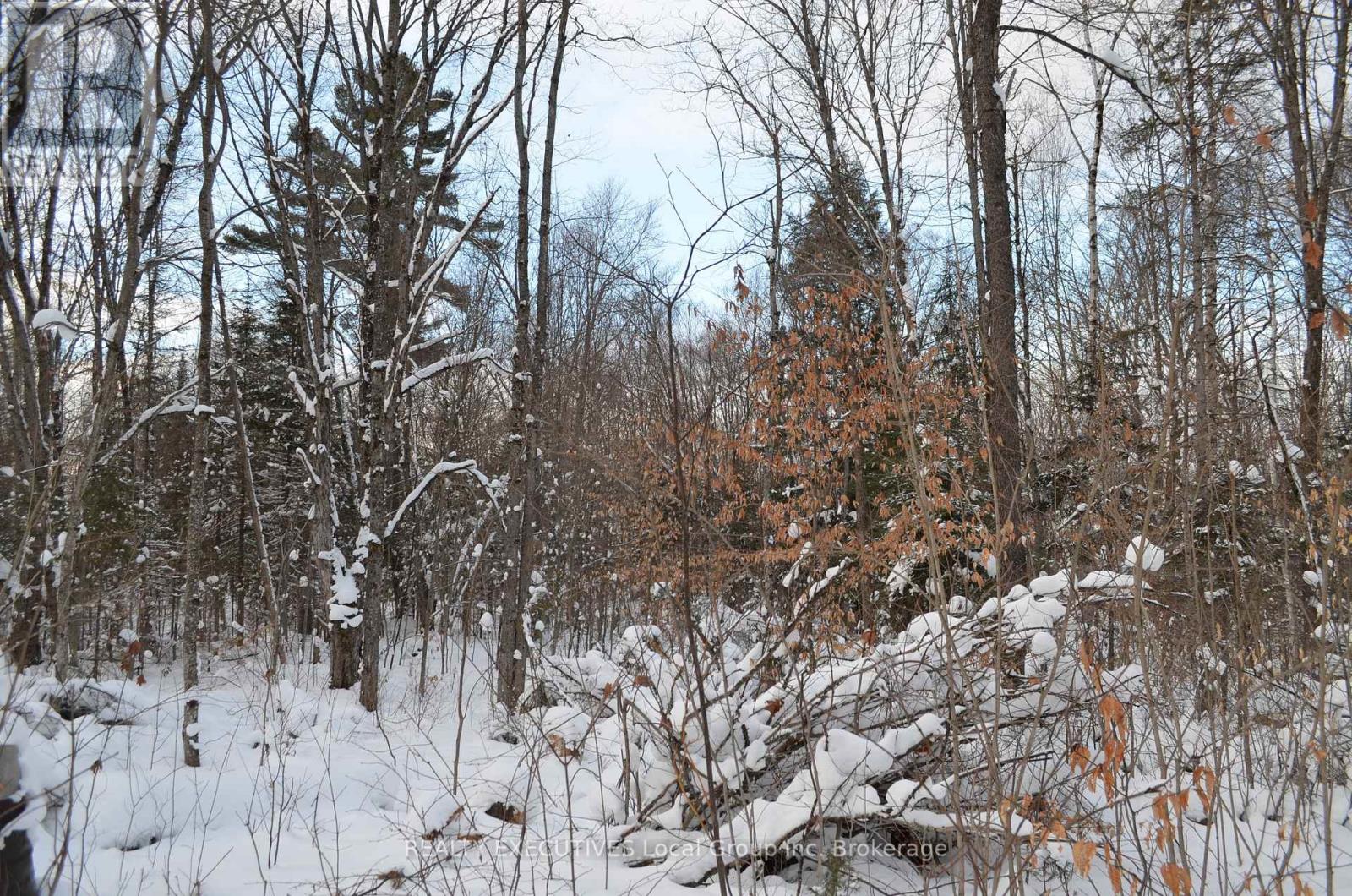 584 Proudfoot Road N, Joly, Ontario  P0A 1Z0 - Photo 31 - X12633822