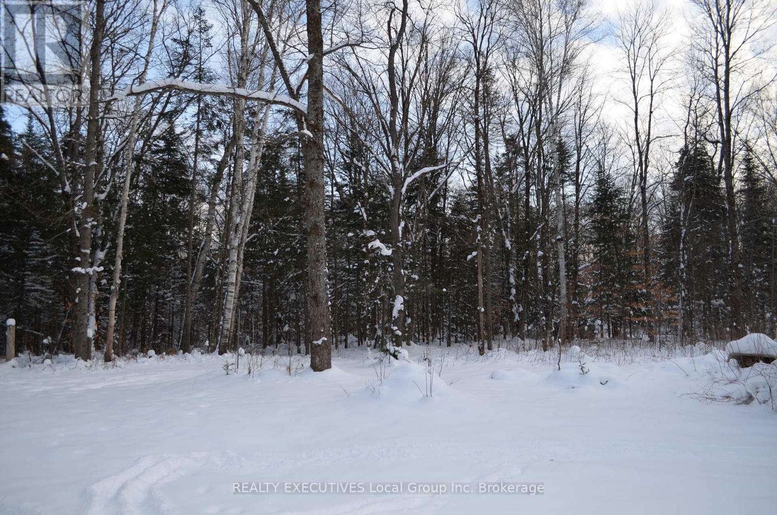 584 Proudfoot Road N, Joly, Ontario  P0A 1Z0 - Photo 32 - X12633822