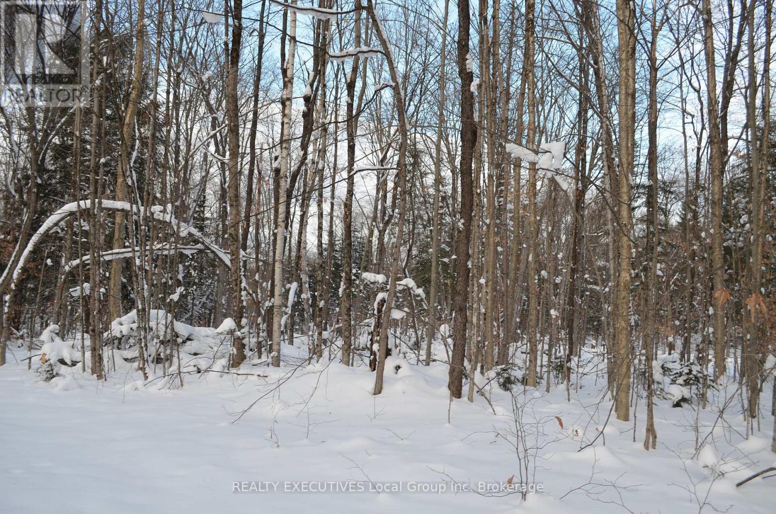 584 Proudfoot Road N, Joly, Ontario  P0A 1Z0 - Photo 33 - X12633822