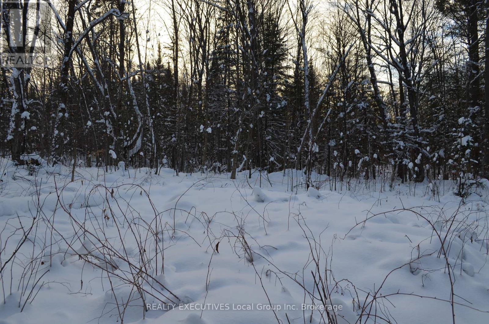 584 Proudfoot Road N, Joly, Ontario  P0A 1Z0 - Photo 34 - X12633822