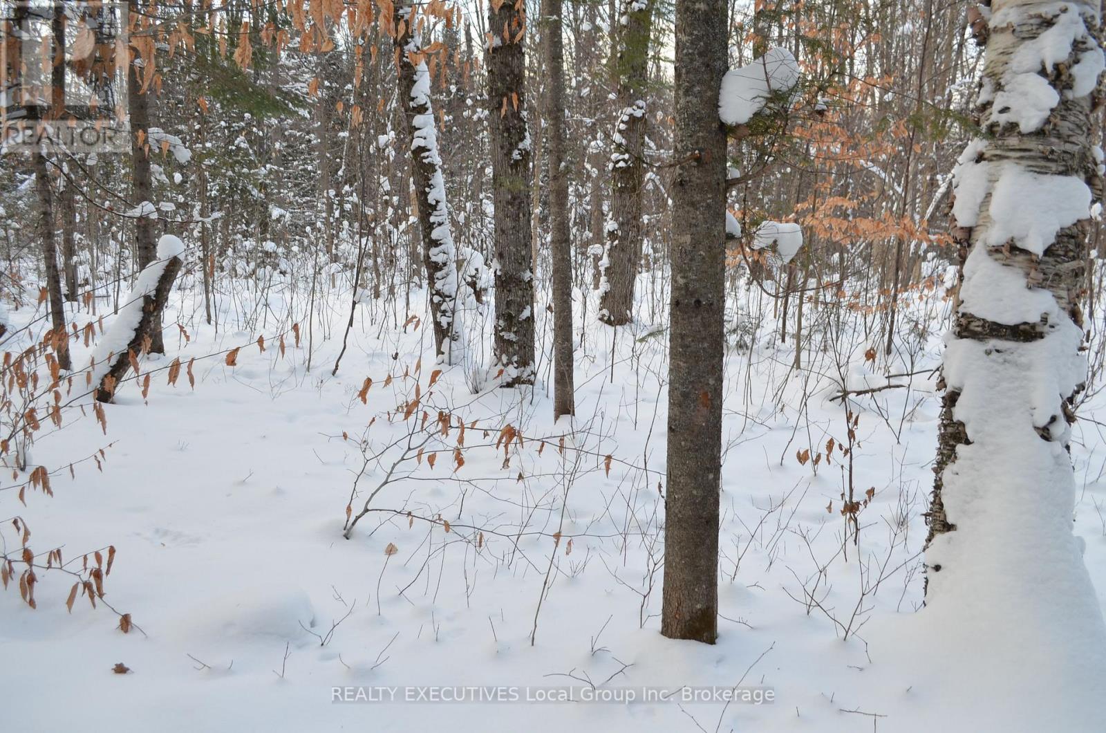 584 Proudfoot Road N, Joly, Ontario  P0A 1Z0 - Photo 37 - X12633822