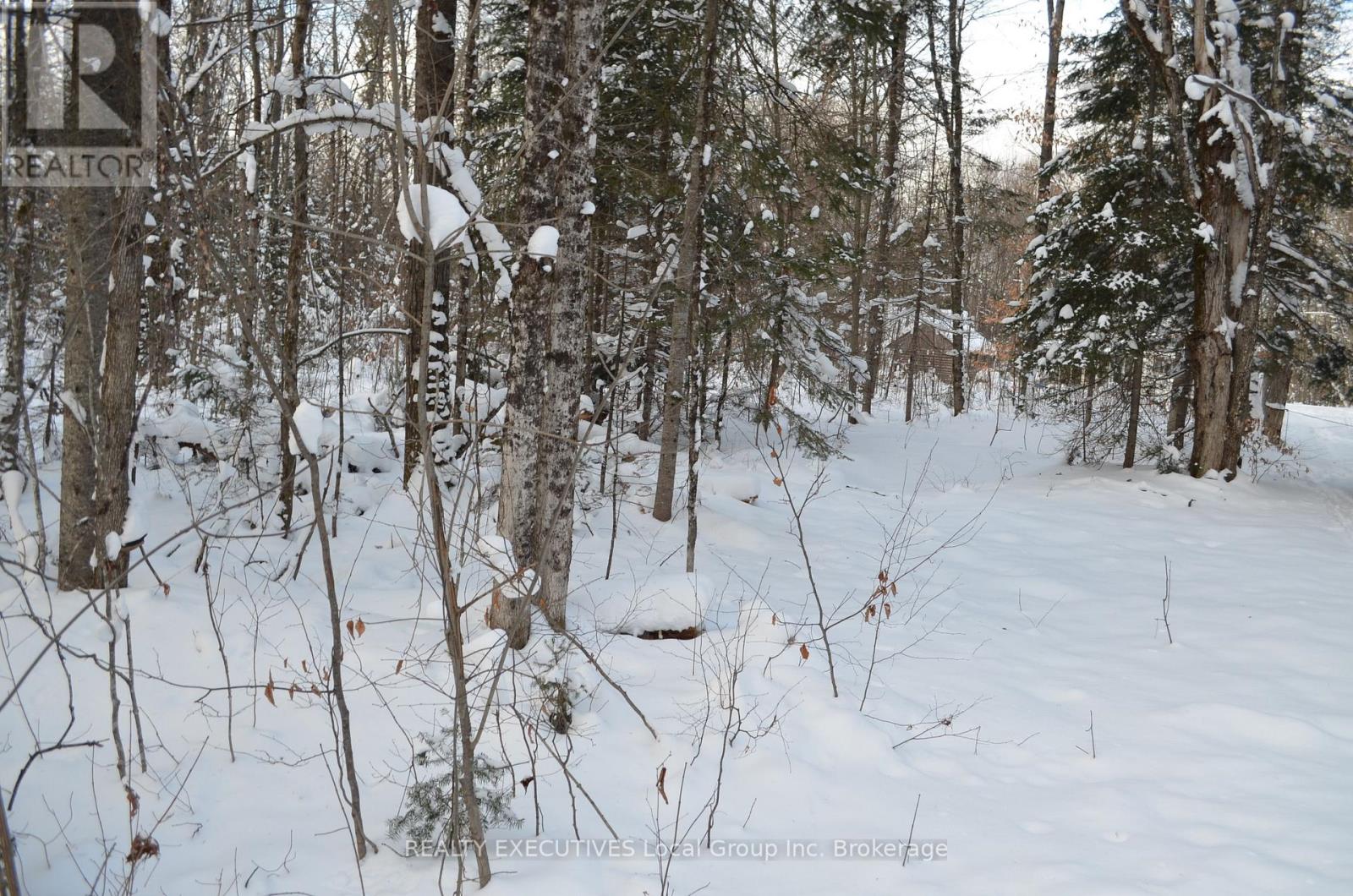 584 Proudfoot Road N, Joly, Ontario  P0A 1Z0 - Photo 40 - X12633822