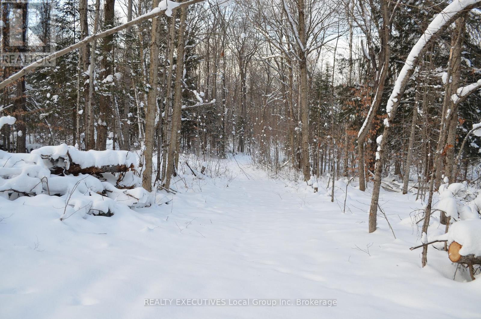 584 Proudfoot Road N, Joly, Ontario  P0A 1Z0 - Photo 5 - X12633822
