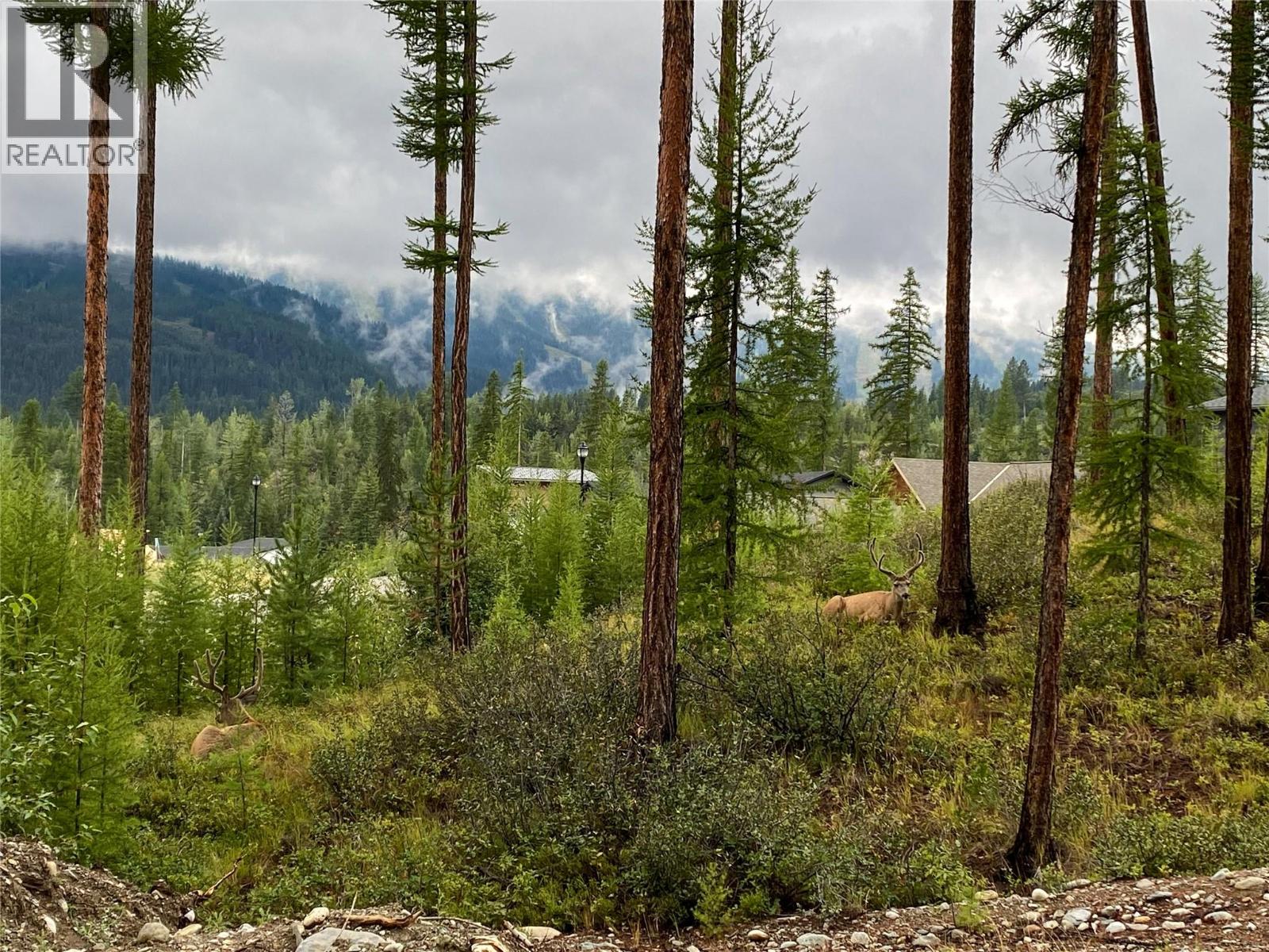 201 Sullivan Lane, Kimberley, British Columbia  V1A 0A7 - Photo 18 - 10371023