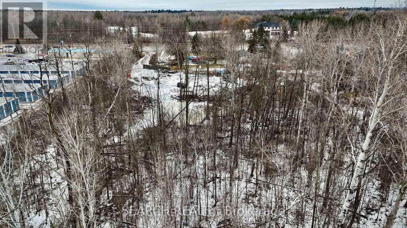 20036 Highway 11, King, Ontario  L3Z 2B6 - Photo 4 - N11915860