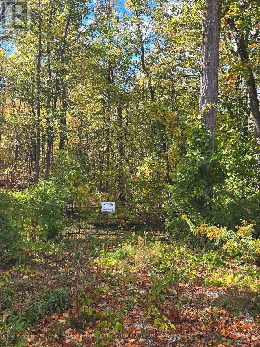 414 Limerick Street, Innisfil, Ontario  L0L 1K0 - Photo 2 - N12490394