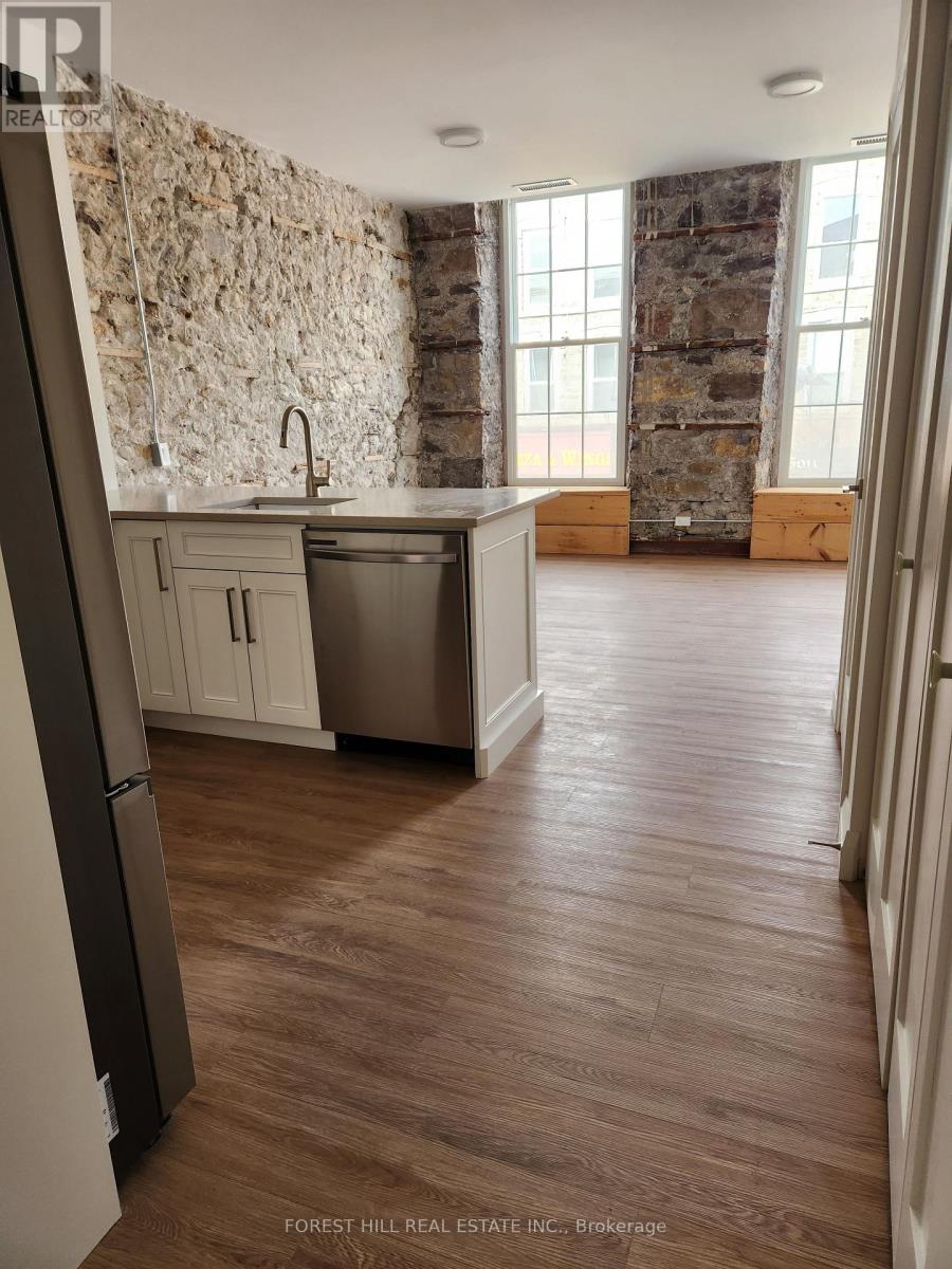 301 - 35-39 Main Street, Cambridge, Ontario  N1R 1V6 - Photo 4 - X12633944