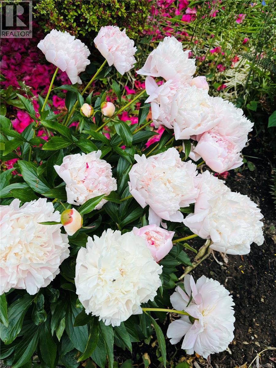 1014 Holmes St, Duncan, British Columbia  V9L 2C8 - Photo 39 - 1021763