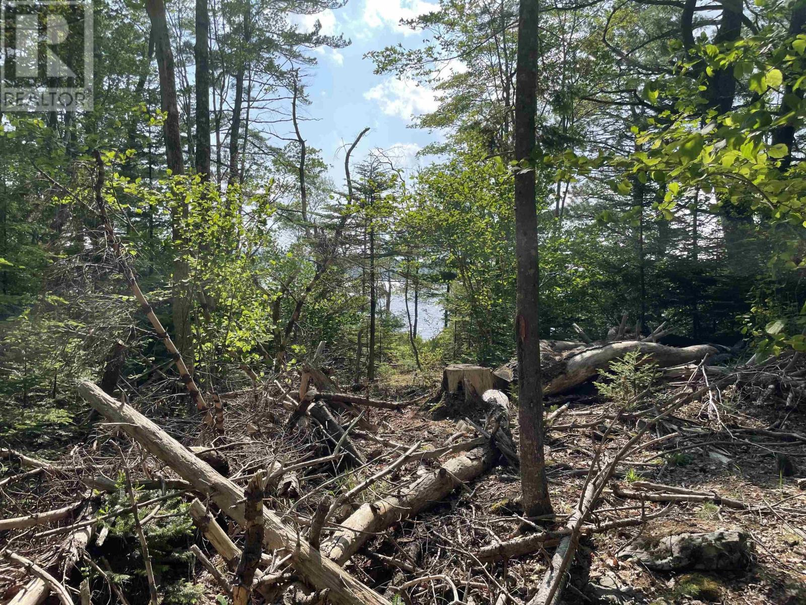 Lot 108 East Clifford Road, East Clifford, Nova Scotia  B4V 1Y7 - Photo 5 - 202514975