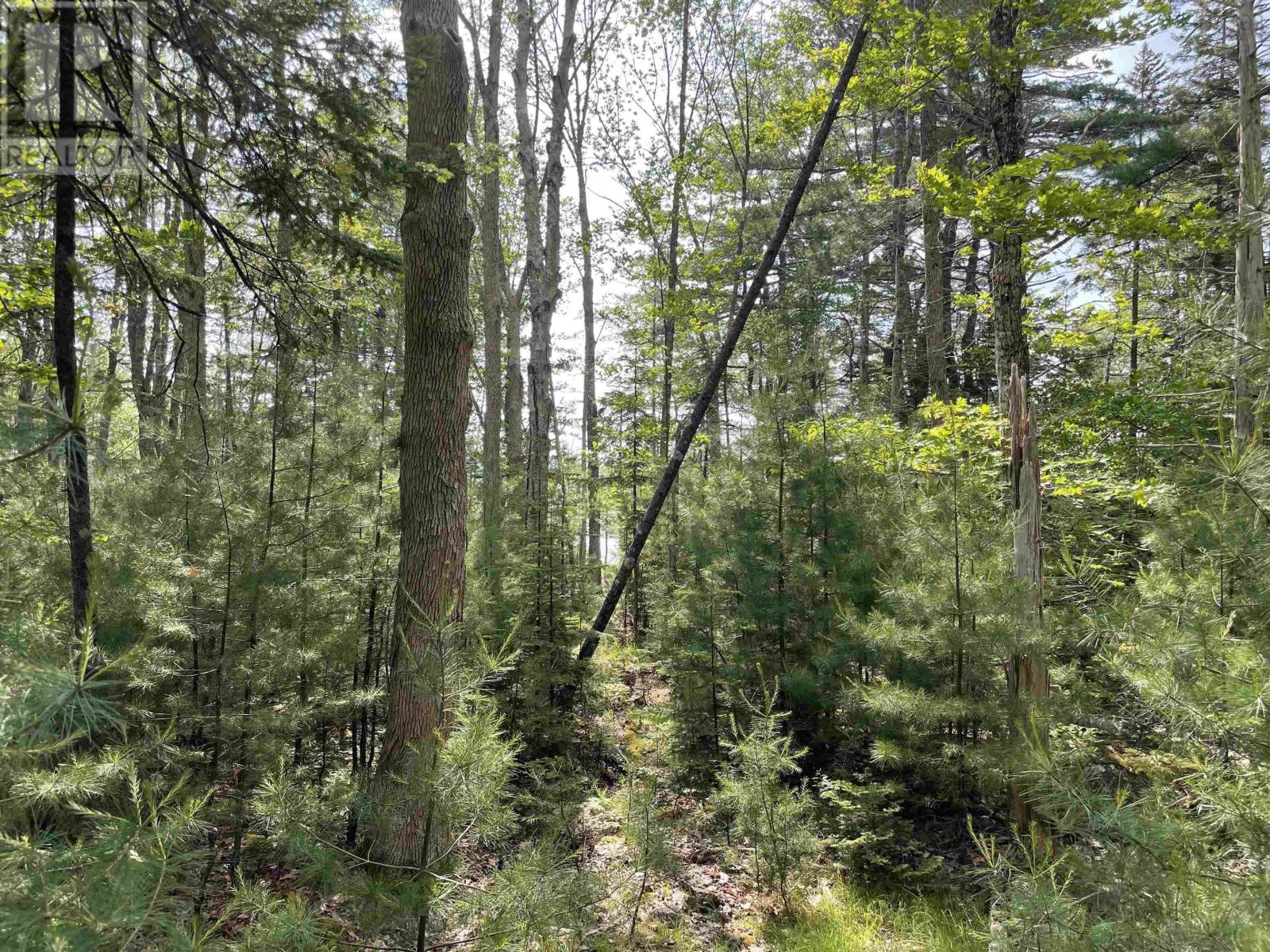 Lot 108 East Clifford Road, East Clifford, Nova Scotia  B4V 1Y7 - Photo 8 - 202514975