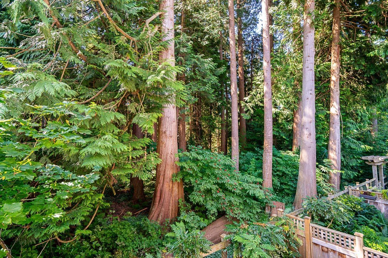 7 253 171 Street, Surrey, British Columbia  V3Z 9P4 - Photo 16 - R3026876