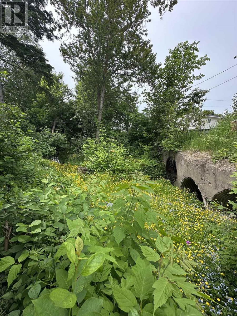 157 East Balfour St, Sault Ste. Marie, Ontario  P6C 1X7 - Photo 45 - SM252940