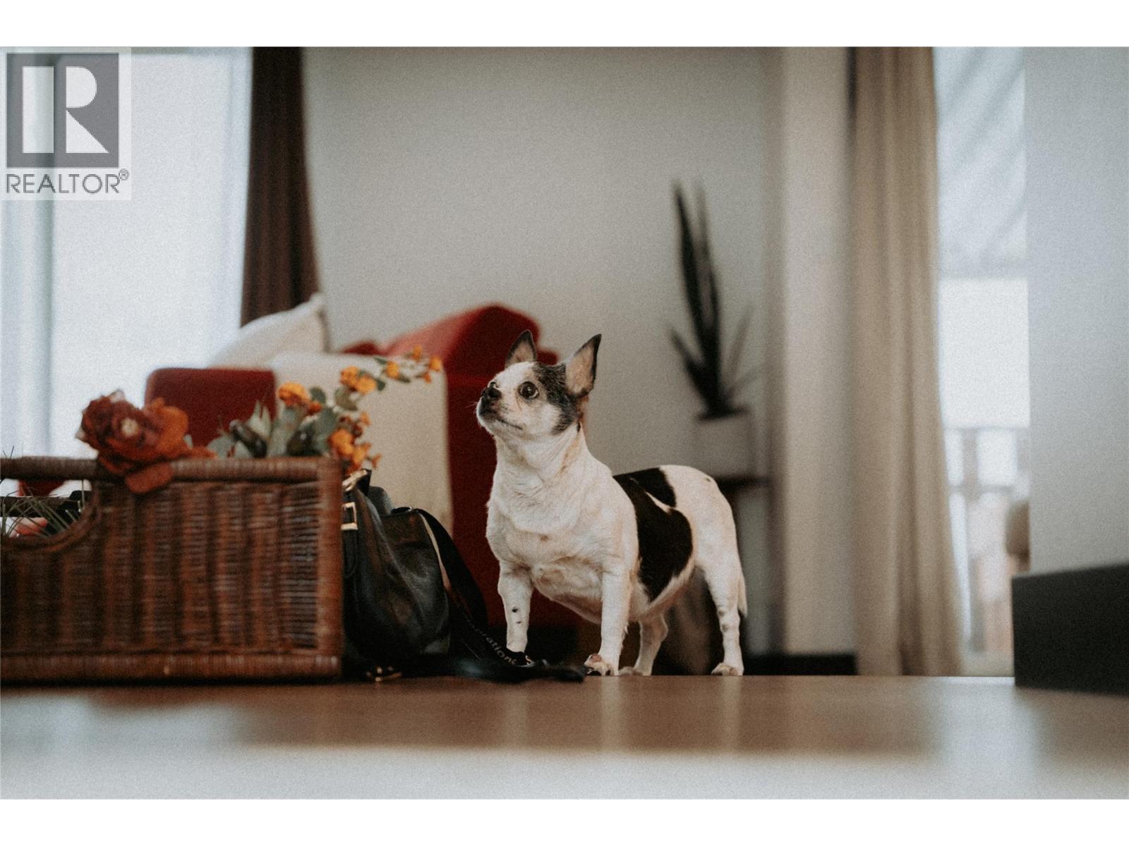 1572 Valleyview Drive, Cache Creek, British Columbia  V0K 1H0 - Photo 8 - 10371143