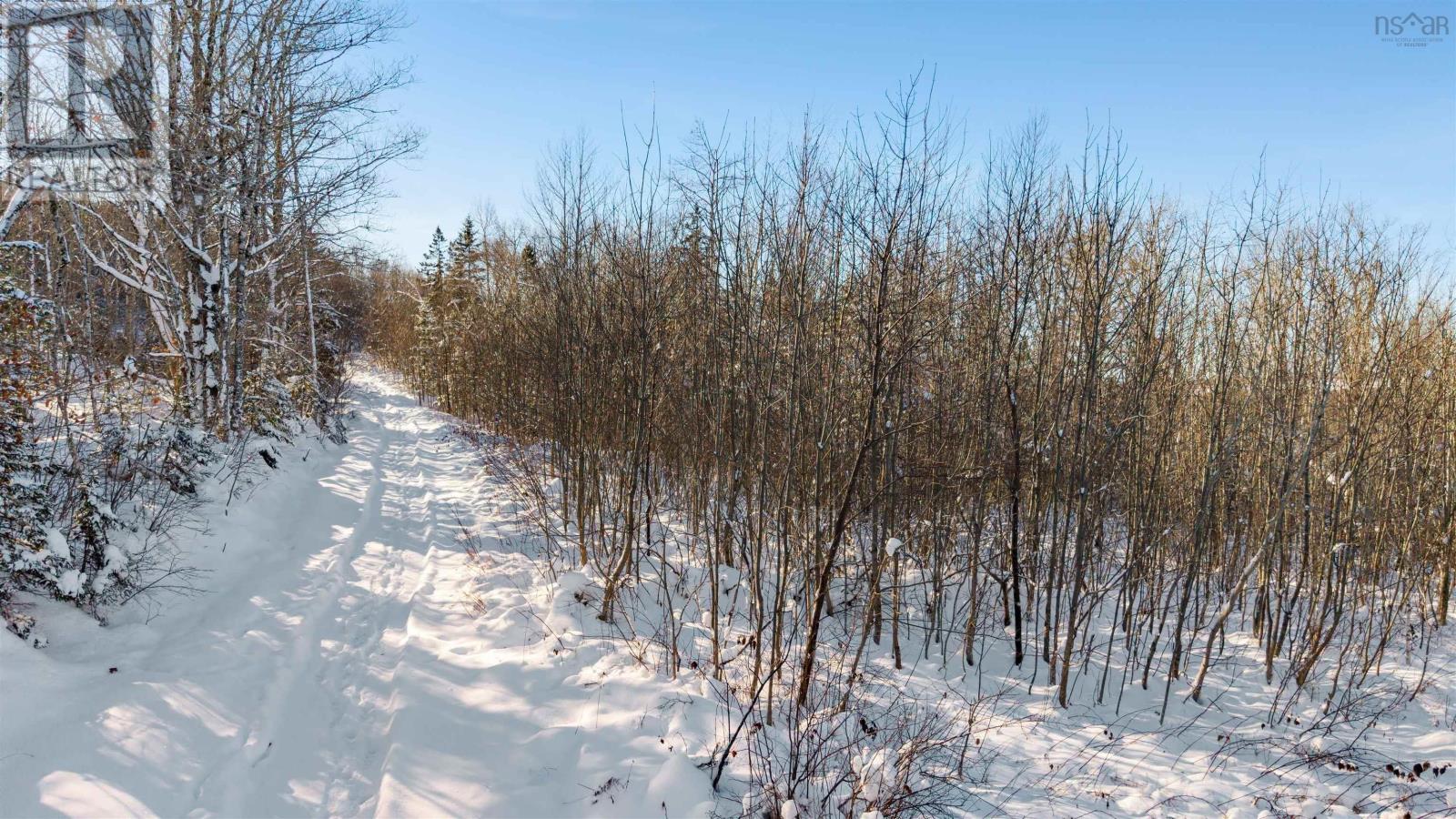 Jersey Road, Westchester Valley, Nova Scotia  B0M 2A0 - Photo 13 - 202529445