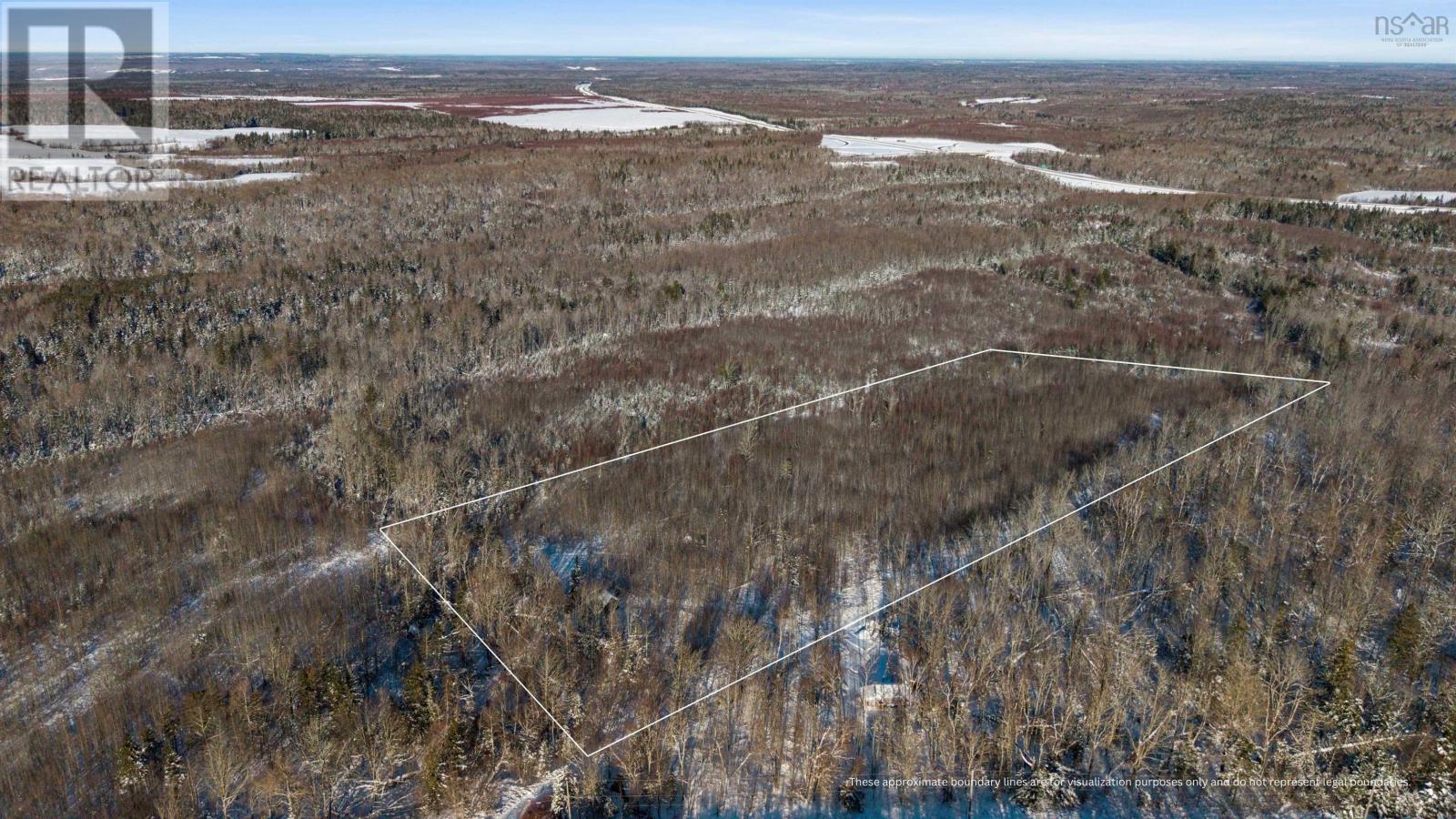 Jersey Road, Westchester Valley, Nova Scotia  B0M 2A0 - Photo 14 - 202529445