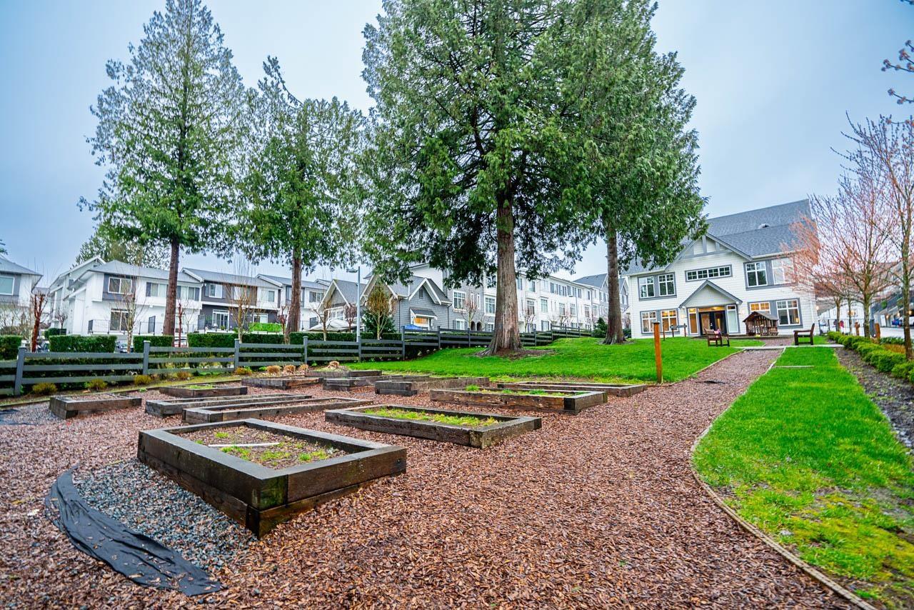 46 8168 136a Street, Surrey, British Columbia  V3W 2Z9 - Photo 26 - R3073690