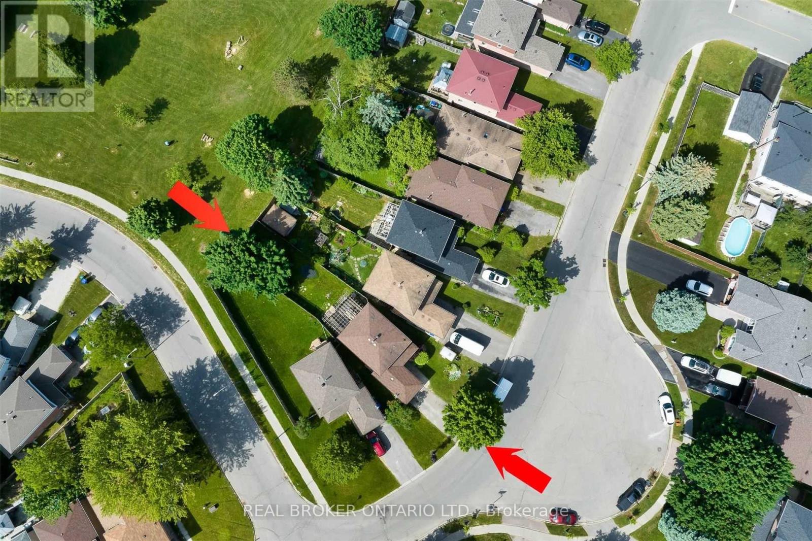 141 Cunningham Drive, New Tecumseth, Ontario  L9R 1C4 - Photo 32 - N12634324