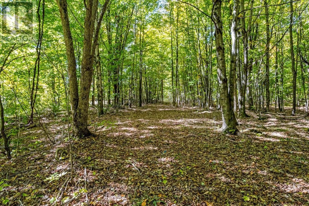 4788b Briton Houghton Bay Road, Rideau Lakes, Ontario  K0G 1V0 - Photo 48 - X12428003