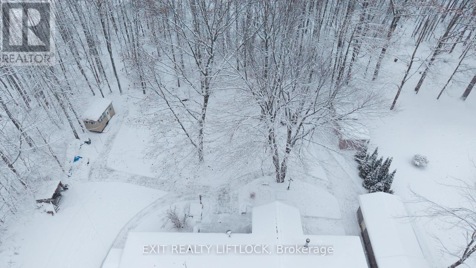 178 Adam & Eve Road, Trent Lakes, Ontario  K0L 1J0 - Photo 42 - X12634600