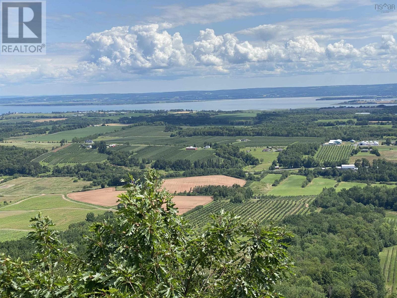 3335 358 Highway, Arlington, Nova Scotia  B0P 1H0 - Photo 10 - 202529402