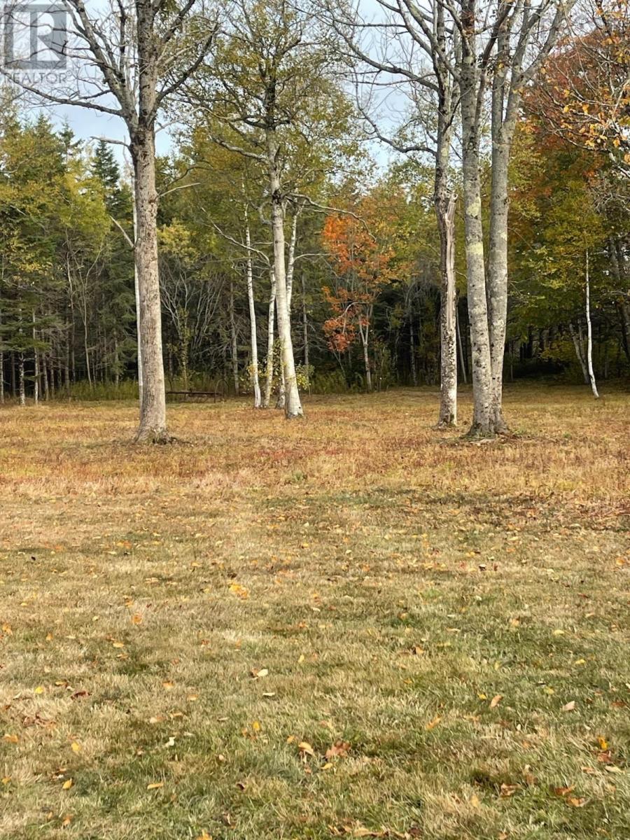 3335 358 Highway, Arlington, Nova Scotia  B0P 1H0 - Photo 3 - 202529402