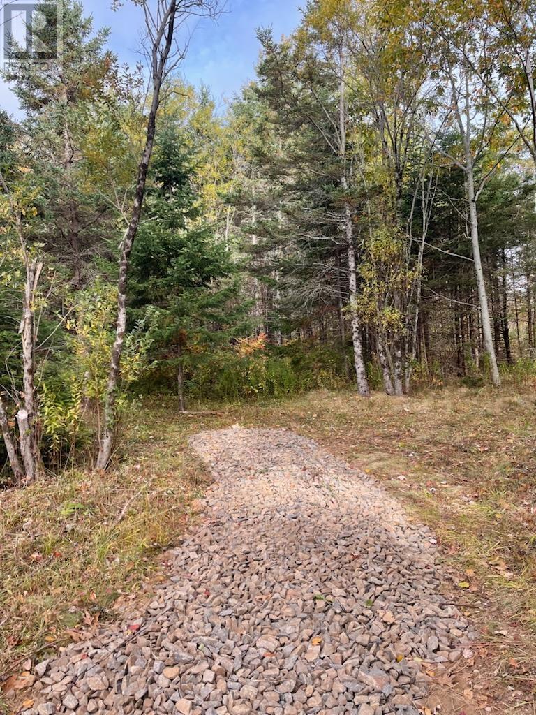 3335 358 Highway, Arlington, Nova Scotia  B0P 1H0 - Photo 2 - 202529402