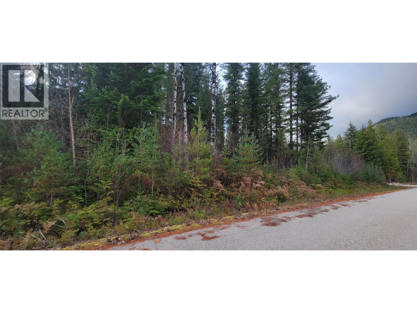 166 Ruby Range Road, Summit Lake, British Columbia  V0G 2S0 - Photo 10 - 10370910