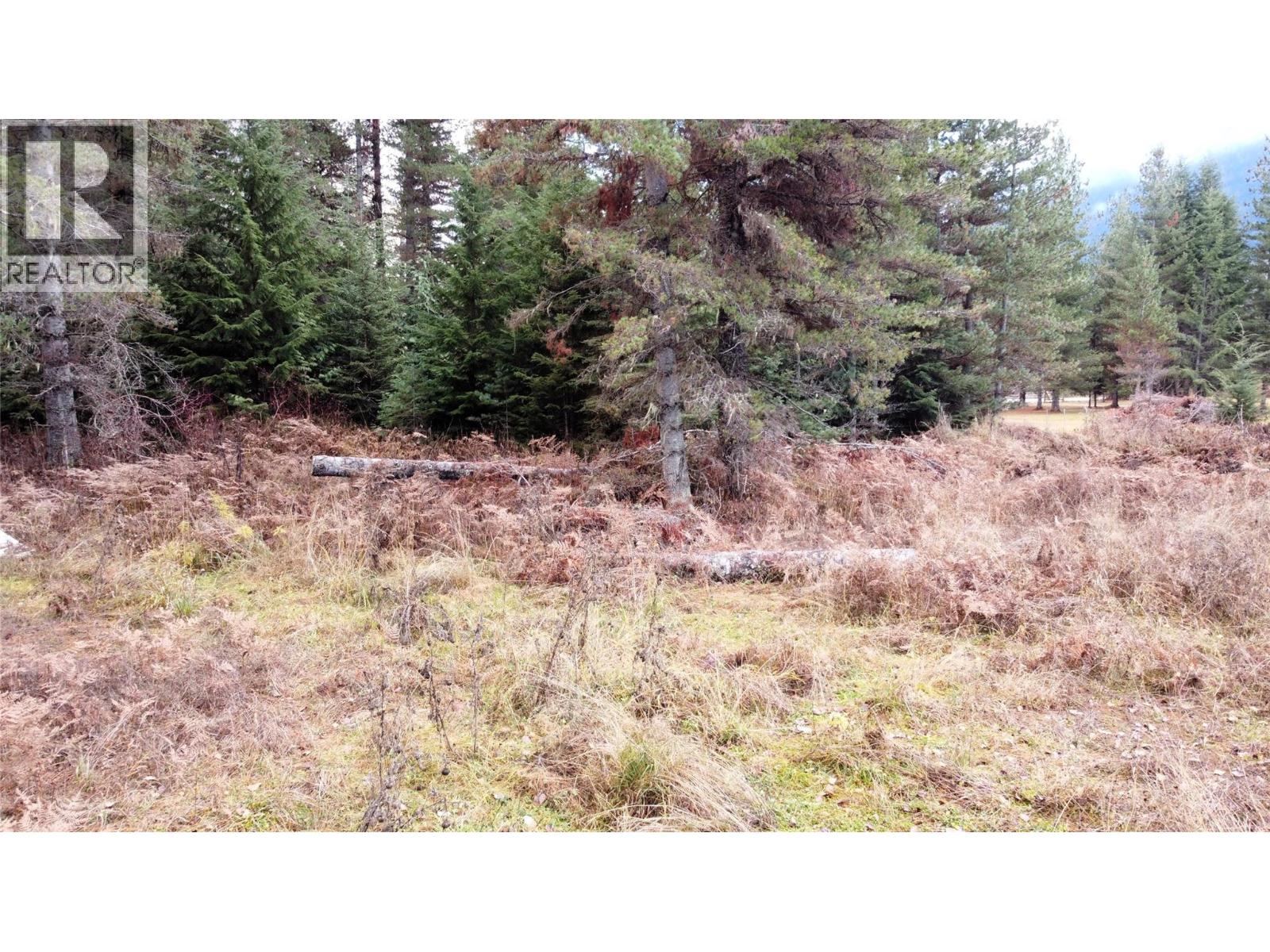 166 Ruby Range Road, Summit Lake, British Columbia  V0G 2S0 - Photo 11 - 10370910