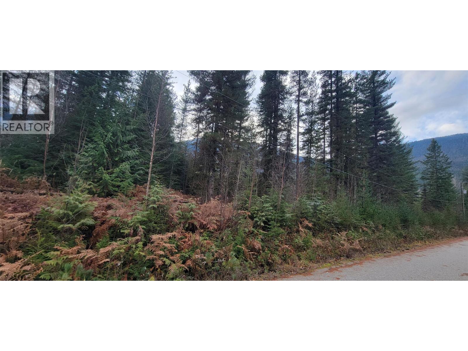 166 Ruby Range Road, Summit Lake, British Columbia  V0G 2S0 - Photo 12 - 10370910