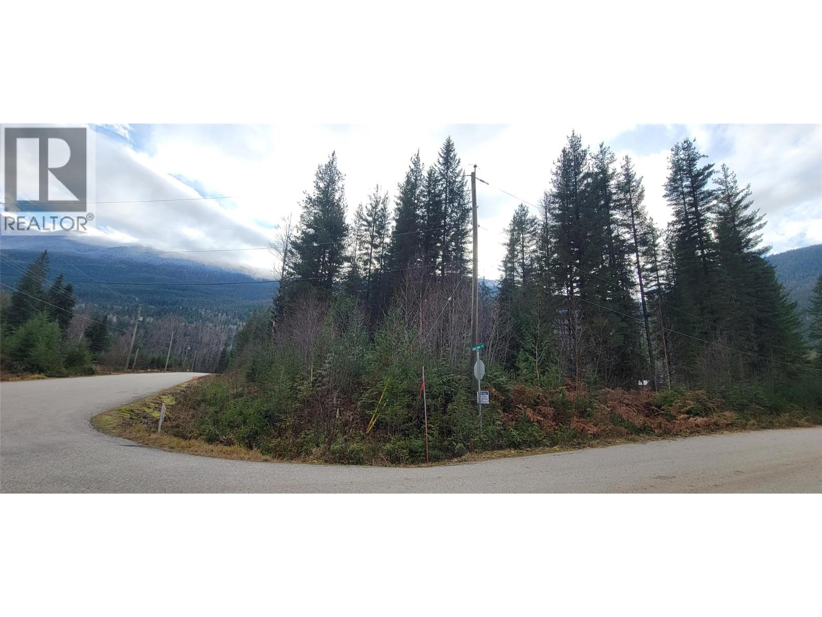 166 Ruby Range Road, Summit Lake, British Columbia  V0G 2S0 - Photo 5 - 10370910