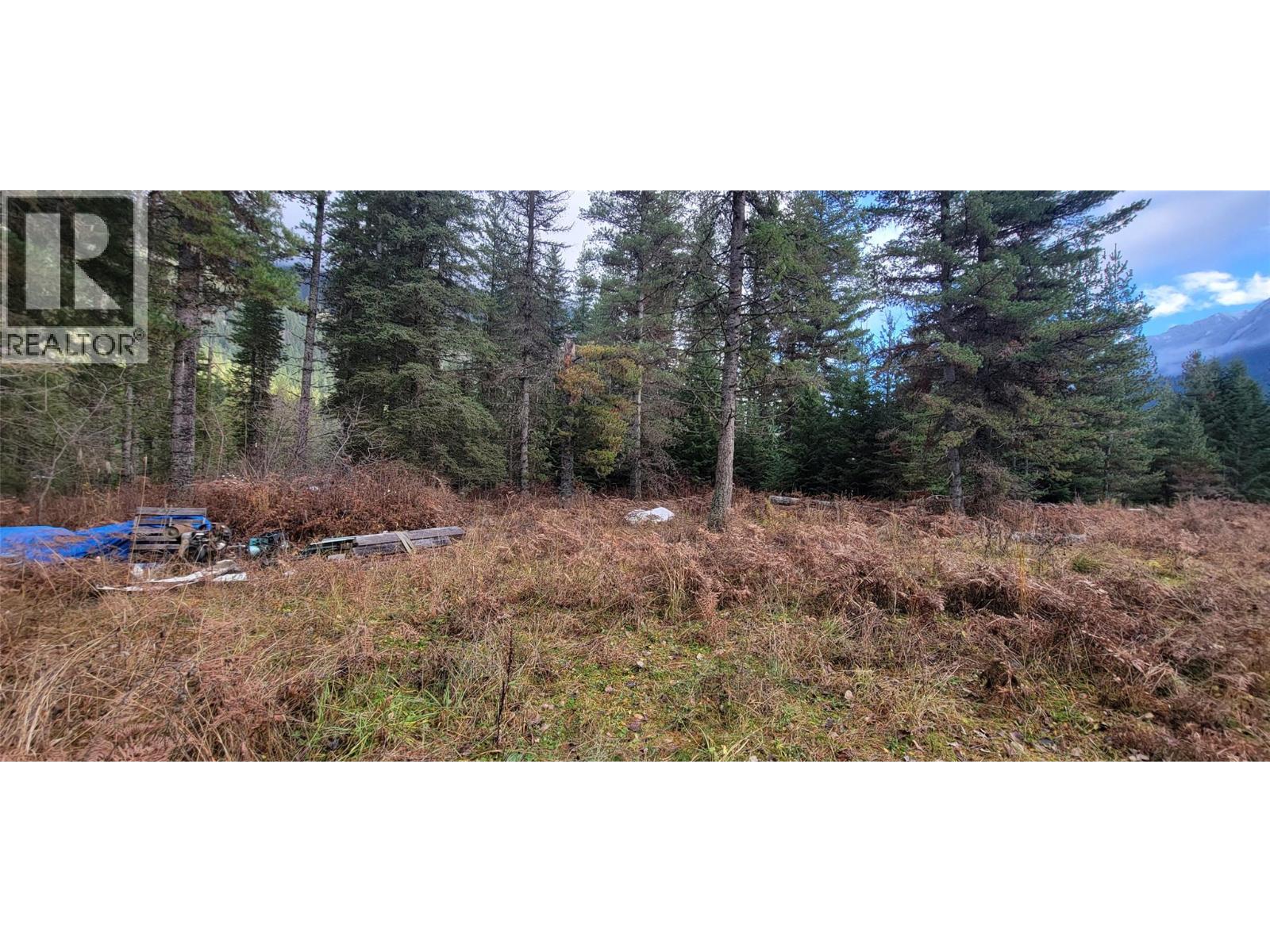 166 Ruby Range Road, Summit Lake, British Columbia  V0G 2S0 - Photo 6 - 10370910