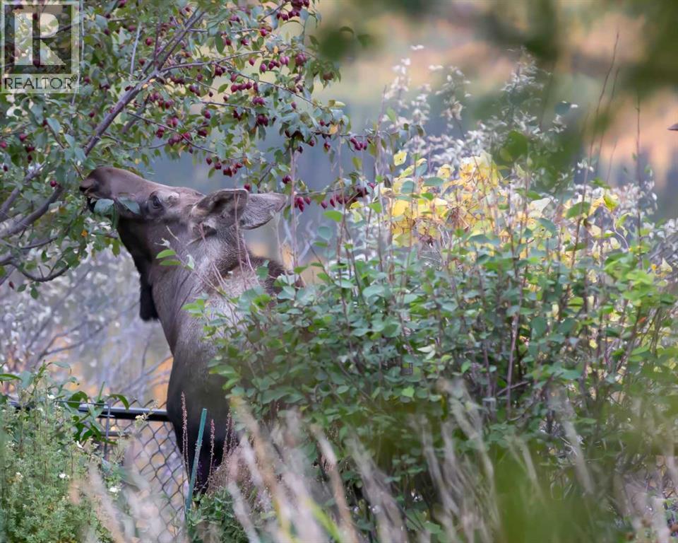 33 Discovery Rise Sw, Calgary, Alberta  T3H 4N6 - Photo 6 - A2272910
