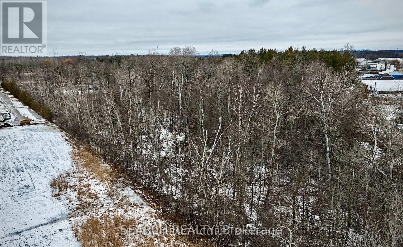 20036 Highway 11, King, Ontario  L3Z 2B6 - Photo 11 - N11915704