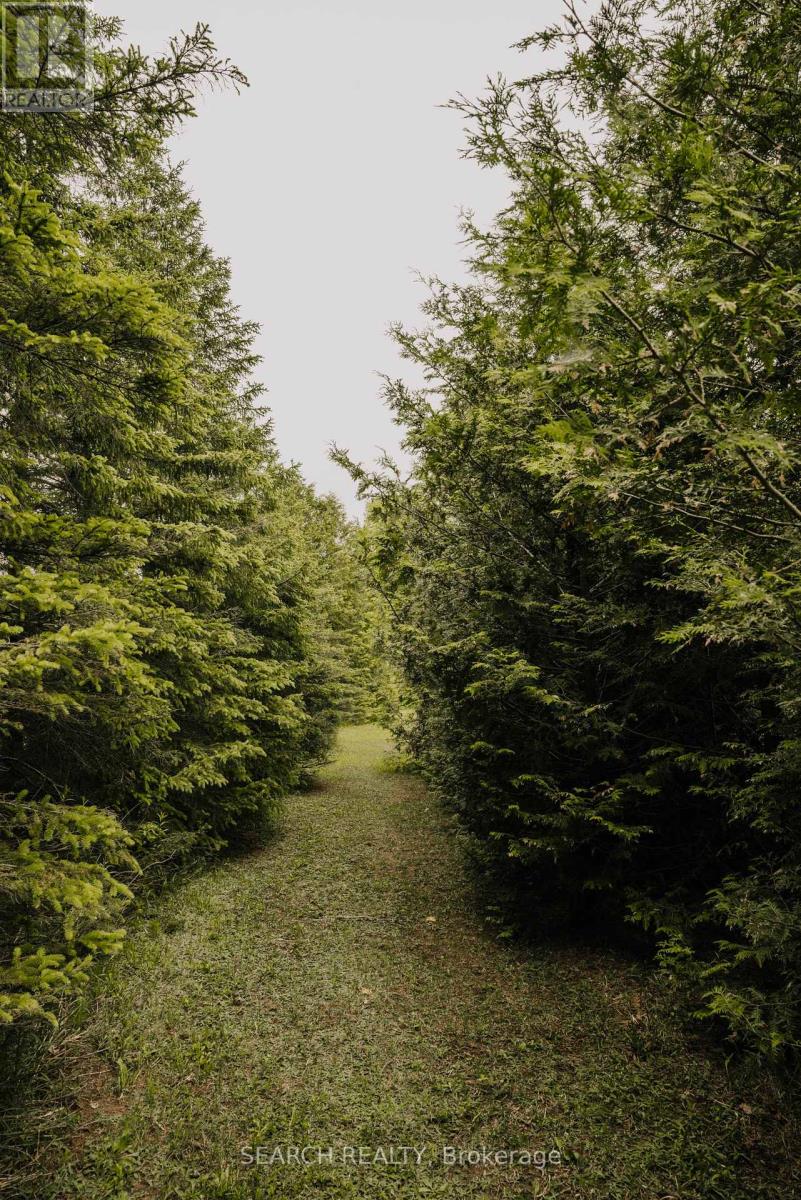 014104 Bruce County  Road 10 Road, Brockton, Ontario  N0G 1S0 - Photo 12 - X12232689