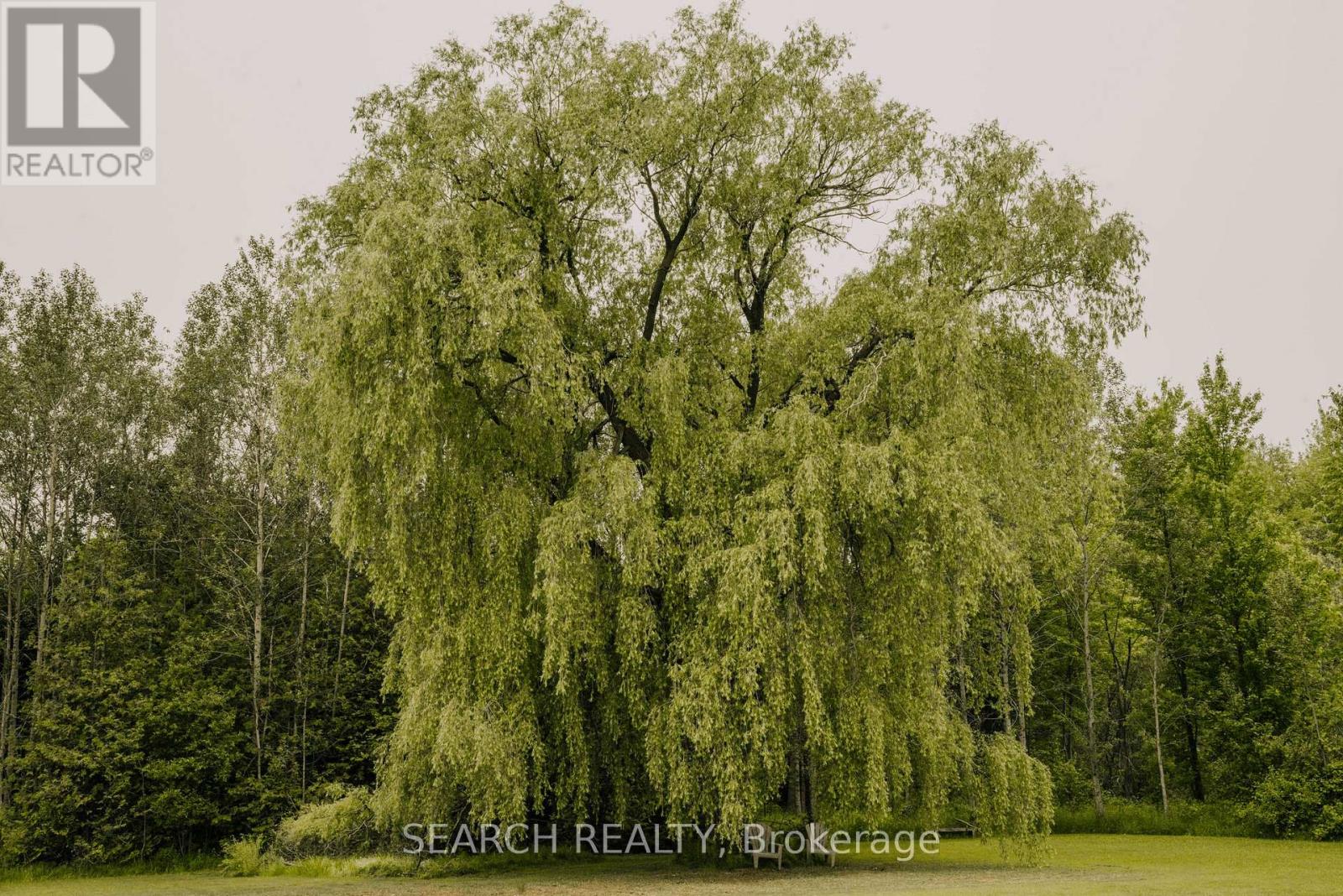 014104 Bruce County  Road 10 Road, Brockton, Ontario  N0G 1S0 - Photo 8 - X12232689