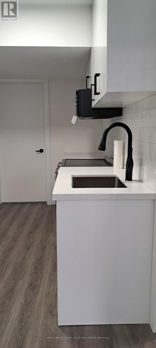 Lower Level - 1659 Rizzardo Crescent, Innisfil, Ontario  L9S 0L7 - Photo 3 - N12634620