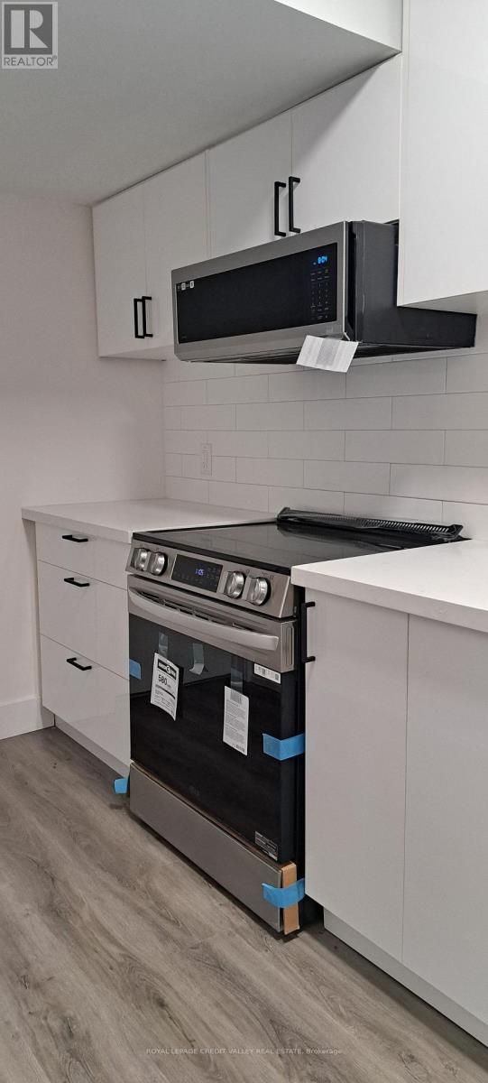 Lower Level - 1659 Rizzardo Crescent, Innisfil, Ontario  L9S 0L7 - Photo 4 - N12634620