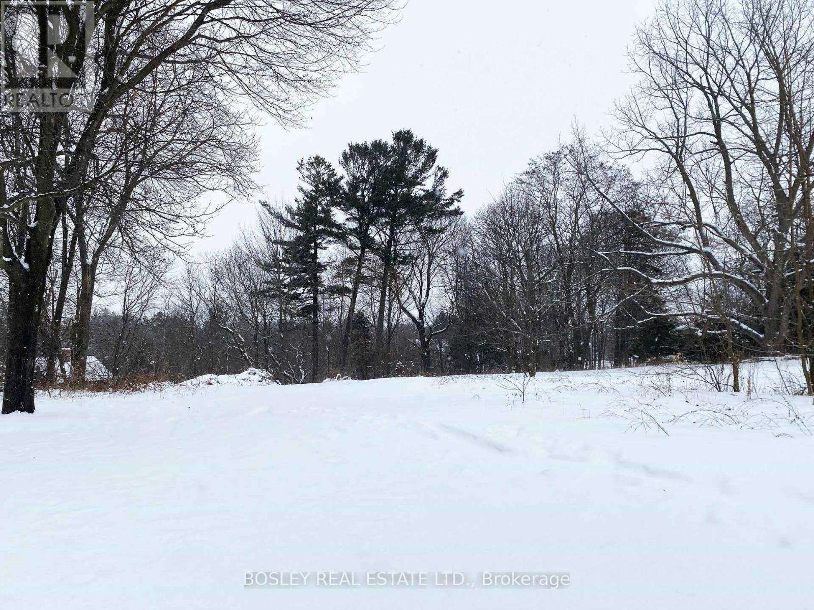 106 Bruton Street, Port Hope, Ontario L1A 1V3 - Photo 1 - X12634738