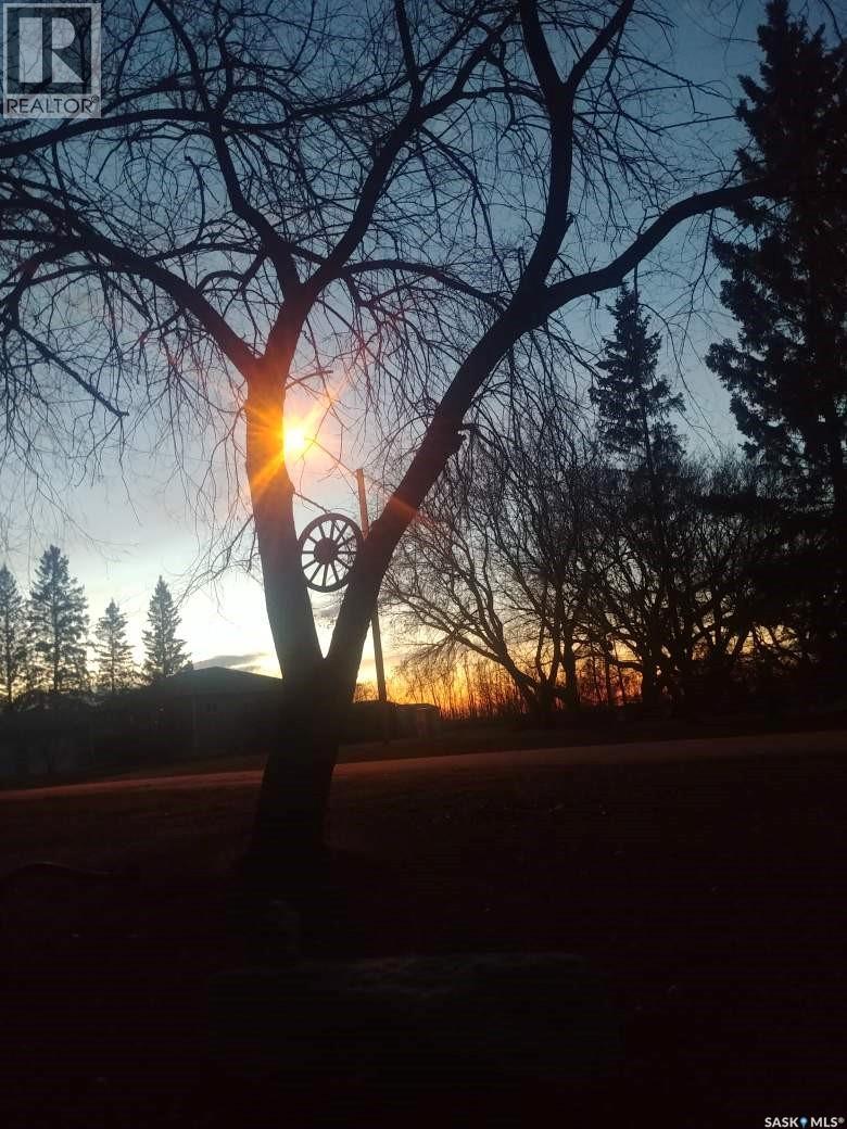 327 1st Avenue E, Blaine Lake, Saskatchewan  S0J 0J0 - Photo 38 - SK025637