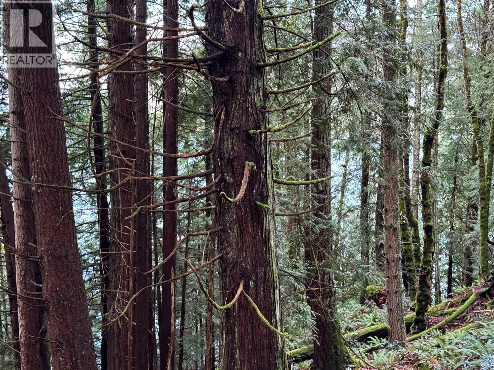 8849 Stoney Hill Rd, Duncan, British Columbia  V9L 5Y6 - Photo 10 - 1021952