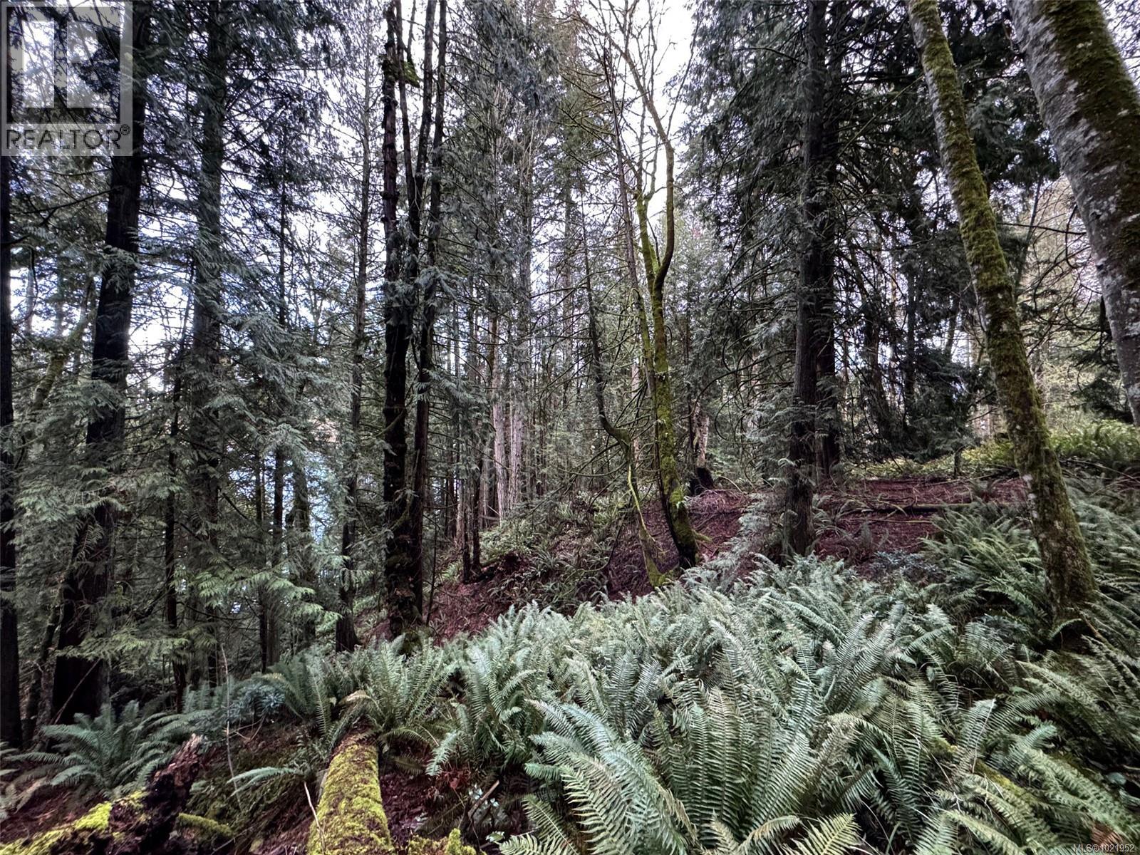 8849 Stoney Hill Rd, Duncan, British Columbia  V9L 5Y6 - Photo 8 - 1021952