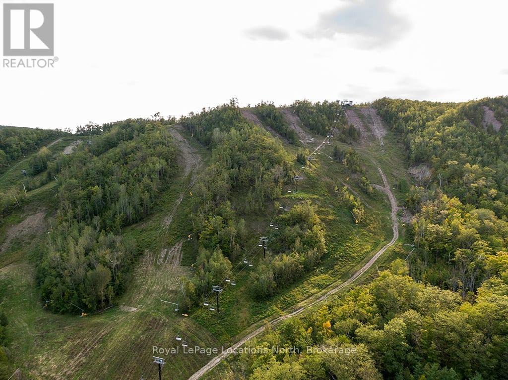 183 Alta Road, Blue Mountains, Ontario  L9Y 0T2 - Photo 31 - X12062216