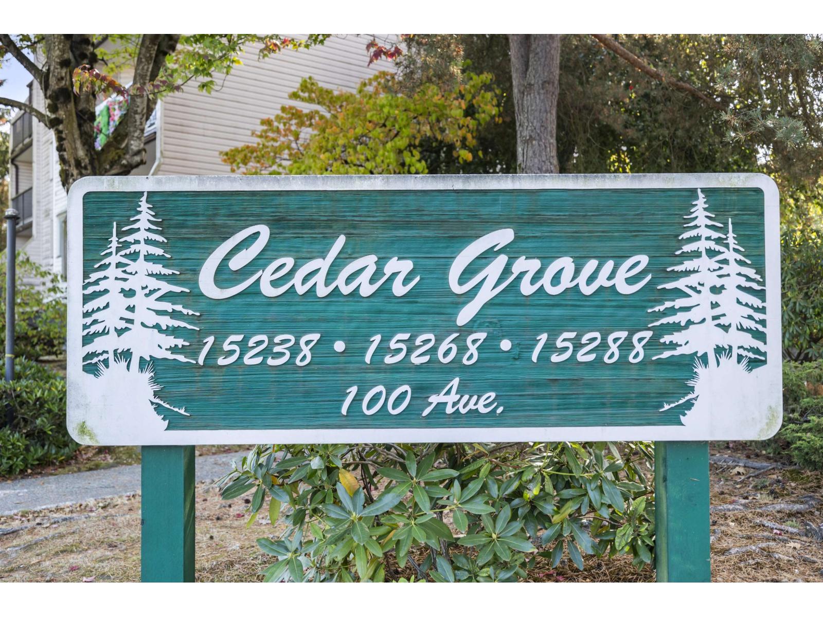 209 15268 100 Avenue, Surrey, British Columbia  V3R 7V1 - Photo 32 - R3053436