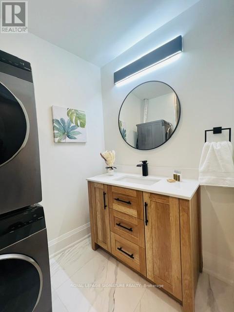 Lower - 217 Euclid Avenue, Toronto, Ontario  M6J 2K1 - Photo 9 - C12634870