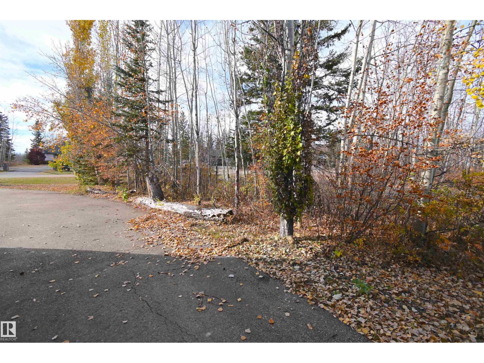 #86 53305 Rge Road 273, Rural Parkland County, Alberta  T7X 3N4 - Photo 66 - E4462481