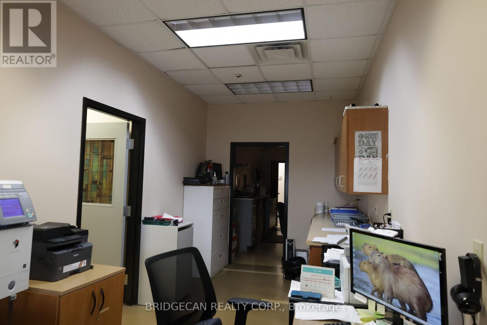 347 Colborne Street, Brantford, Ontario  N3S 3N2 - Photo 15 - X12634888