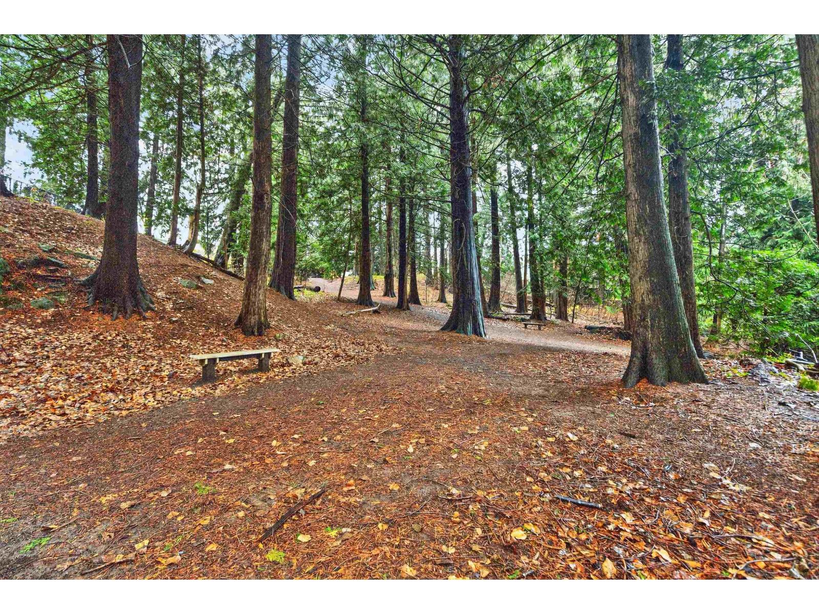 30 2058 Winfield Drive, Abbotsford, British Columbia  V3G 1M4 - Photo 28 - R3073411