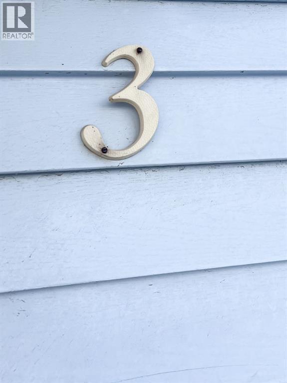 All, 1 3 Avenue Se, Falher, Alberta T0H 1M0 - Photo 33 - A2273664