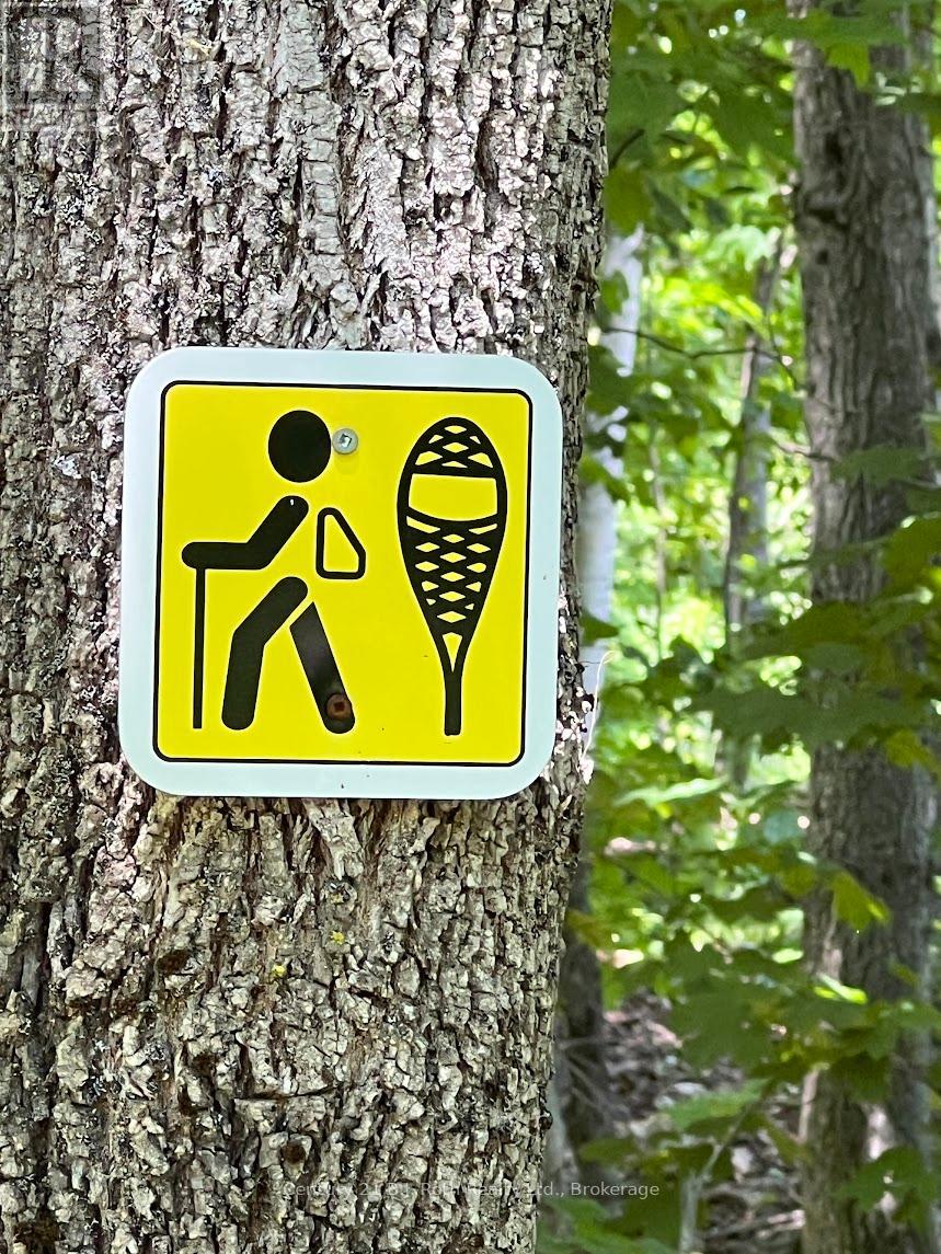 302 - 11 Treetops Lane, Huntsville, Ontario P1H 1A9 - Photo 33 - X12635116